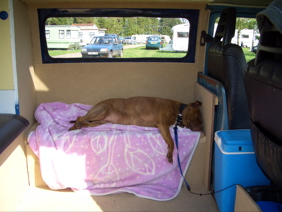 Camper with lazy hound